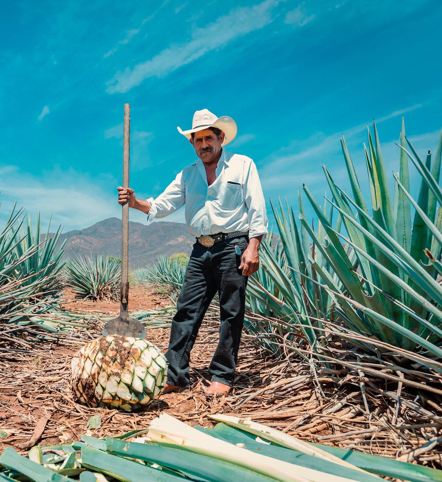 Mezcal de Pechuga ⏐Todo lo que Necesitas Saber Sobre Esta Exquisita ...