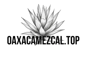 oaxacamezcal.top quienes somos